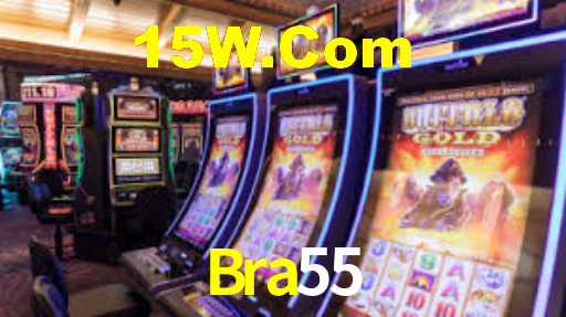 Bra55,Bra55 Paga