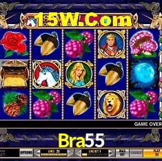 Estatísticas do Jogo Bra55