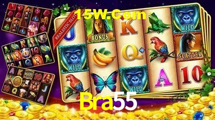 Promoção Relâmpago Bra55