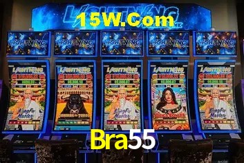 Sistemas de Segurança Bra55